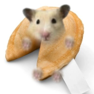 hamdb_'s profile picture. 내 꿈은 떼창