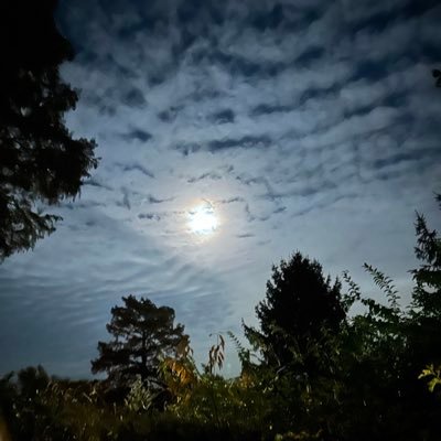 Celestaleipal's profile picture. helping to find inner peace and harmony