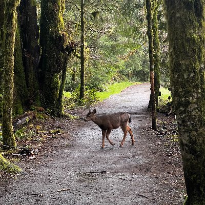 Deepak921738's profile picture. 