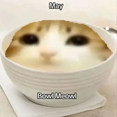 LimeiS4617's profile picture. 