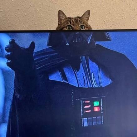 Locodocomusica's profile picture. 🎈
- Aqui somos fãs do CS Nacional
- Comentários cotidianos absolutamente banais.
-

🔯