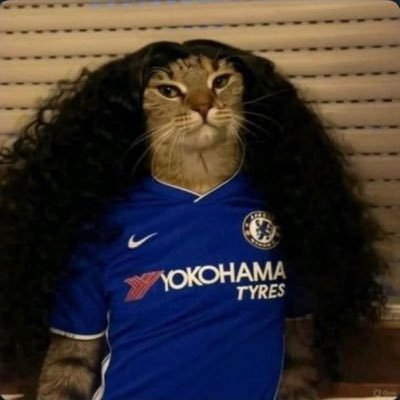 AymanAziz_'s profile picture. 