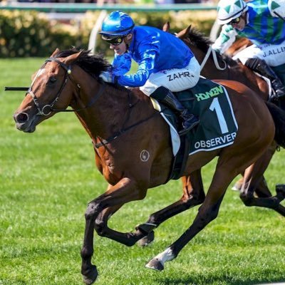 WillElford's profile picture. @Racing_Previews. Alegron & Observer fan page