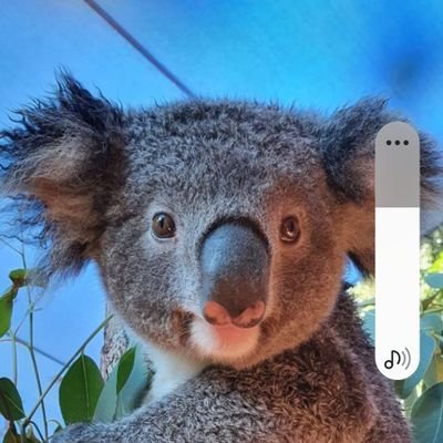 NatashaTan18025's profile picture. 