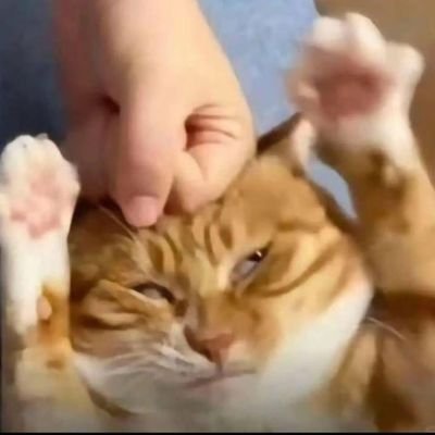 m1rul007's profile picture. 18 cooked4life