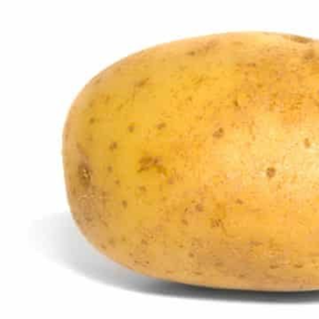 PhilosophyIdaho's profile picture. “There is no one like the God of Jeshurun, Who rides the heavens to your help, And the clouds in His majesty." (Deuteronomy 33:26)