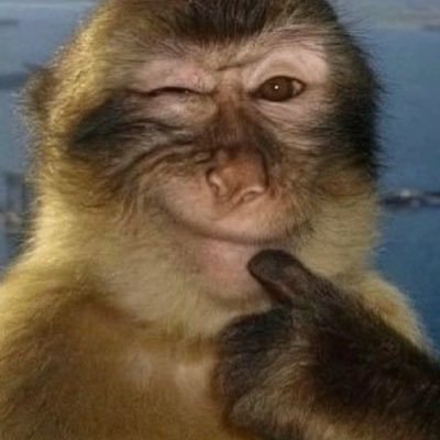 NPCKenz's profile picture. 𓆏 Play Magic. Be Hot.ฅ՞•ﻌ•՞ฅ NSFW🔞@KenzieRPG