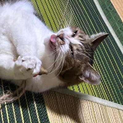 warayama0226's profile picture. pc勢です！ID warayama226