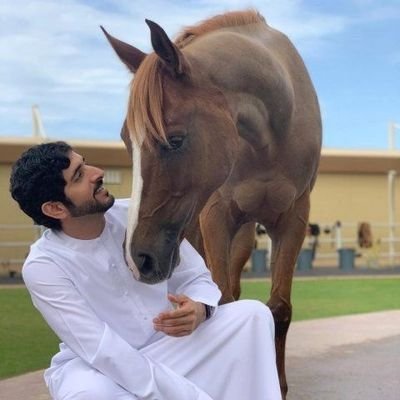 FCourageou33496's profile picture. Chairman of Dubai Executive Council Deputy Ruler of Dubai and UAE Minister Finance