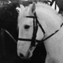 isaiy_silsol's profile picture. 웹소랑 영화얘기함 - 베니로렌 중심- 리버시블/커플링 표기하신 대로 소비합니다- 삐계@_showme_love