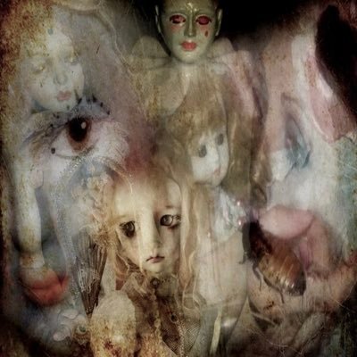 bird026395496's profile picture. Watch the Butterflies and have a buzzball Ok?