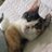 iji1129043's profile image