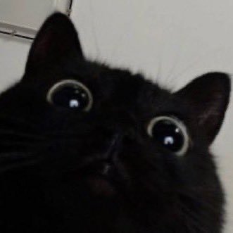 kukunavut's profile picture. กอล์ฟ คุคุ คุณาวุธ อาทิตย์ ต้นชา อคิน ตัวจริงเองครับผม :)