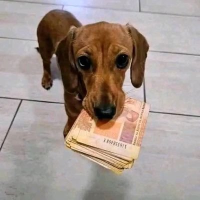 YingisaniMakamu's profile picture. .