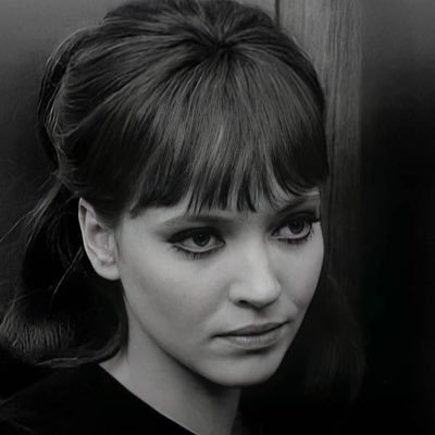 sqwzdrive's profile picture. i took a break from this account but i might come back one day so don't unfollow.