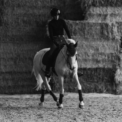 chbzr03's profile picture. Ma nouvelle vidéo Youtube ➡️ https://t.co/gTlP3VEwxW