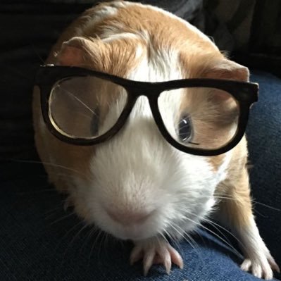 0o0ng2's profile picture. 만두키우기