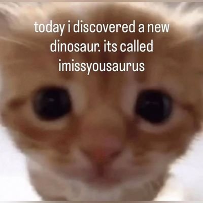 t4lonsgfwlek's profile picture. lagi mancing