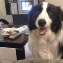 Lachlan Richards - @loccarpenter - Twitter