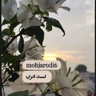 jaljarodi's profile picture. القلبُ.. ترنيمةُ ... بوح لاينتهي

نحنُ الفقراء الذين أغناهم الله بِـ حُب الحسين..