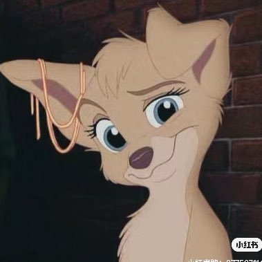 TI3893727069425's profile picture. 默默观察一切）