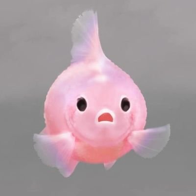 besidqes's profile picture. Cuma seekor IKAN.