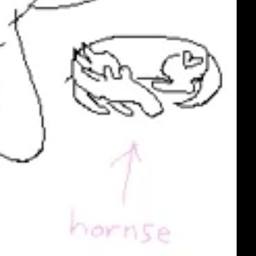 BoiiGorl's profile picture. 🐈 art only: @ExhibitOfBoii 🐈‍⬛ im an adult. banner from: danny smoke in furryland.  pfp: It's homestuck. im on my following limit again...