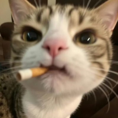 sanjekala's profile picture. 