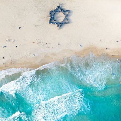 kld582's profile picture. 🇦🇺live,🇨🇦raised,🇬🇧born,🎗️Zionist