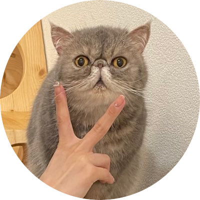 ねこち💥♨️