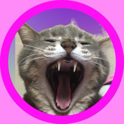 neko💕大好き❤日中は会社員、趣味で時々カラーセラピスト、etc…