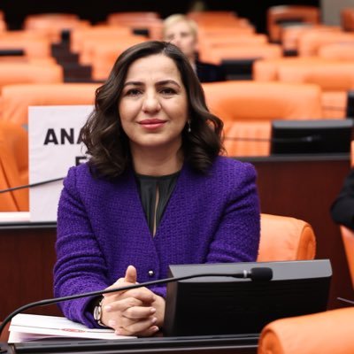 Semra_caglar_'s profile picture. DEM PARTİ  Bitlis Milletvekili /Parlamentera DEM Partiyê ya Bêdlîsê/ Bitlis MP for DEM PARTİ