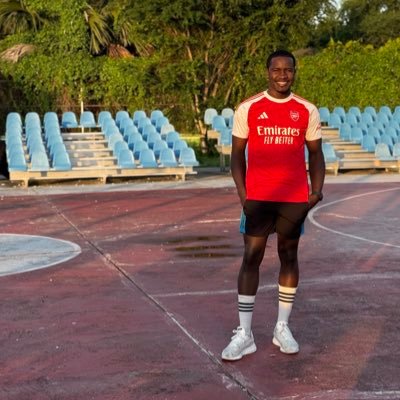 BSRK10000's profile picture. Arsenal. The lion and bear may be strong, but the wolf does not perform in the circus.