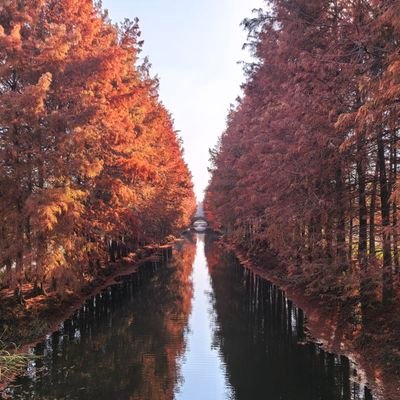 piYsh9O0Ug47190's profile picture. 