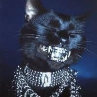 _JMouraaa's profile picture. 🇵🇹 PF/C for @fpbasquetebol