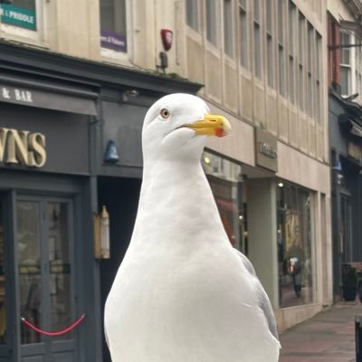 awaydaytown's profile picture. Love the Terriers, love a beer and love pizza. Enjoy music and watching live sport. Enjoy the grunge scene, 90’s rock!