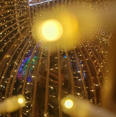 JoeSFGLYZ's profile picture. 