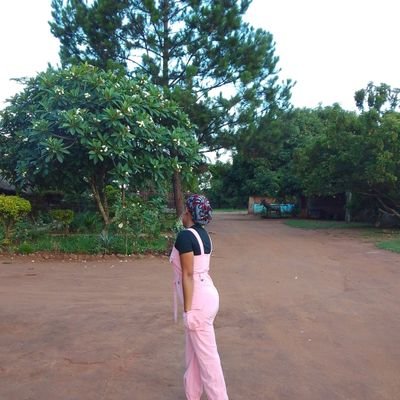 ErneMussanhane's profile picture. A elegância da simplicidade é sempre única 🦋