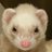 __Qoo1111's profile image
