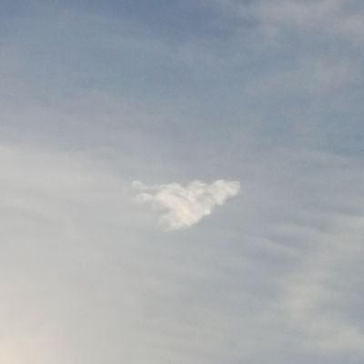 Pisces685173487's profile picture. 