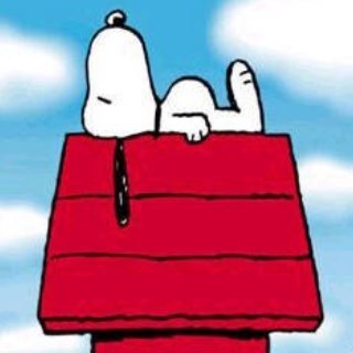 deborahjane5's profile picture. 