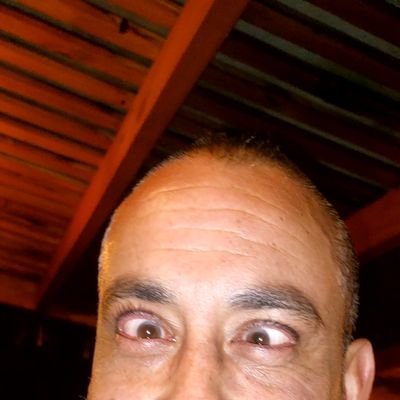 FDOCALDERON's profile picture. HUMANISTA ATEO PROFESIONAL DEL CINE, LA TV Y LA MÚSICA. OCTUBRISTA PROGRESISTA LUCHANDO DIA A DIA POR UN CHILE MÁS DIGNO, MODERNO Y MENOS HIPÓCRITA!!❤️🇵🇸❤️