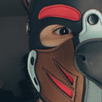 EcoTheGamingPup's profile picture. Pup Eco, Here to meet like-minded kinky people, who enjoy anime video games and pop culture esk things. Advocate for Bottom To Bottom play!