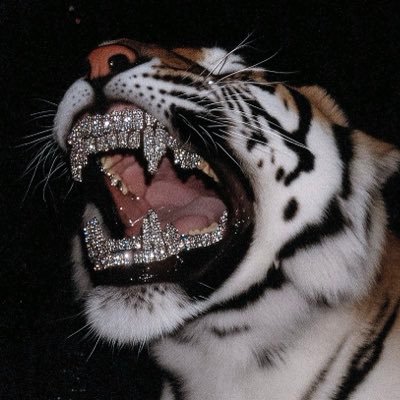 M0hX1n's profile picture. 