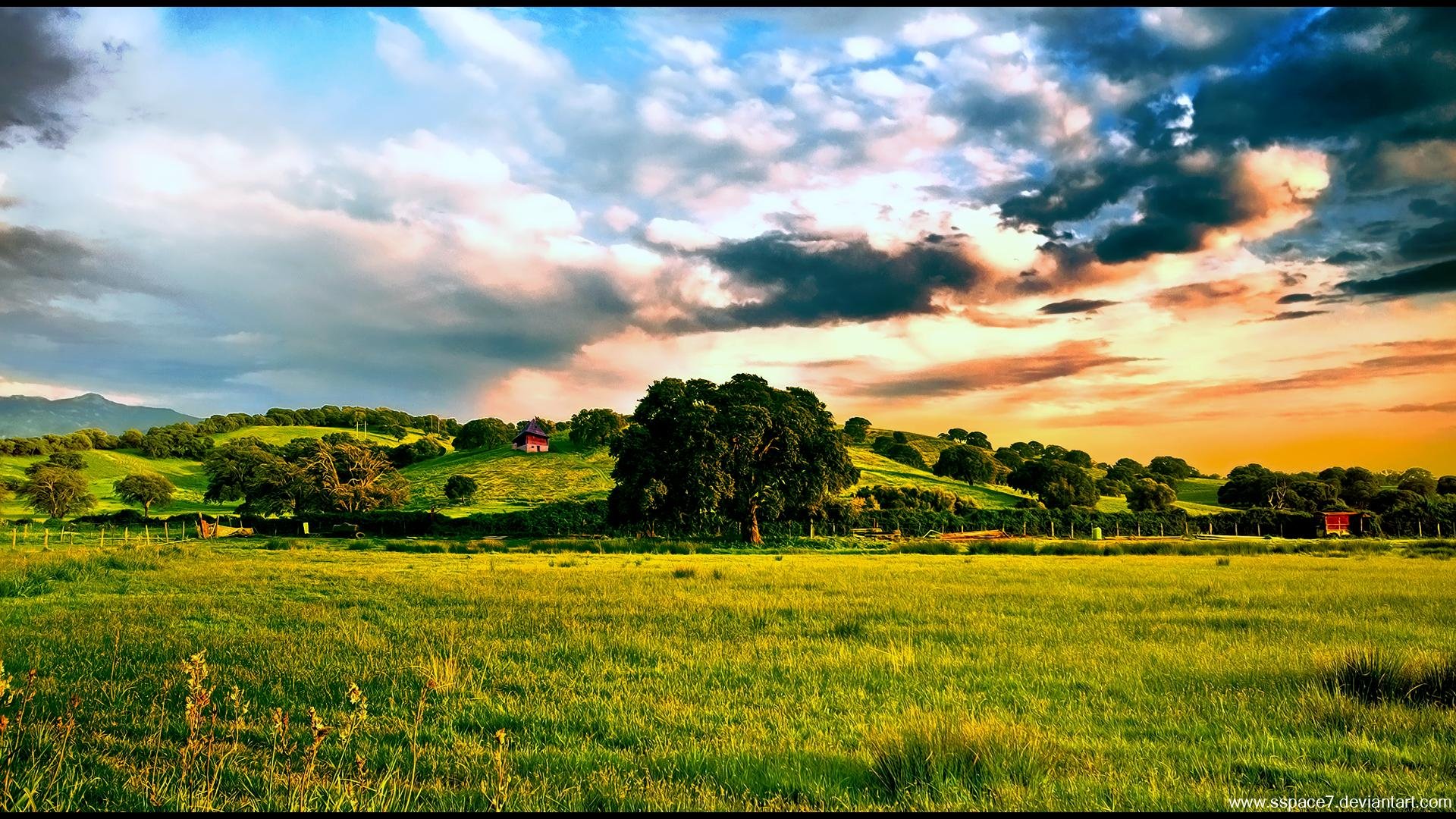 louisegendron3's profile picture. He still loved her through it all