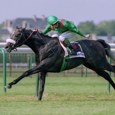 Re_Leon14th's profile picture. 聞いて、感じて、考えて