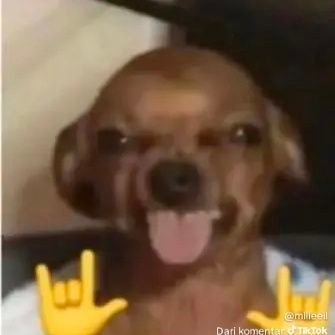 bautaikKKKK's profile picture. aspiring public relations student(soon) 🍽
haechan girl 4ever🤍
❗️❗️❗️God's plan is better than our own plans PLS REMEMBER THAT❗️❗️❗️