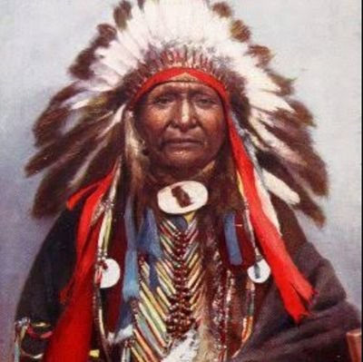 WendynewstvH's profile picture. football basketball music Éducation