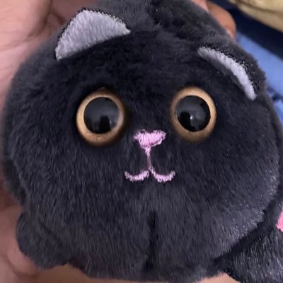 chnhefly's profile picture. #collegetwt n life update || PPNS’25