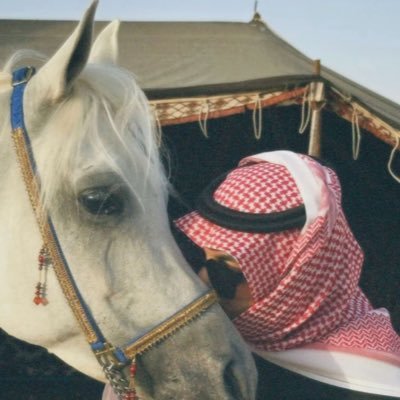 il3ll1's profile picture. دربٍ مايعَز ممشاي لو أنه مبّتغاي مالي به.